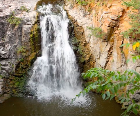 Fall in love with the redwood area